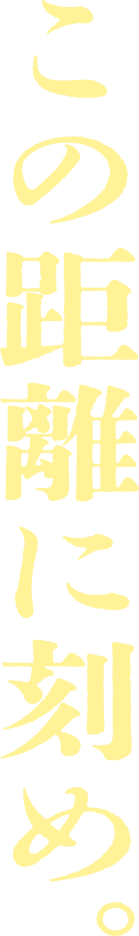 この距離に刻め。